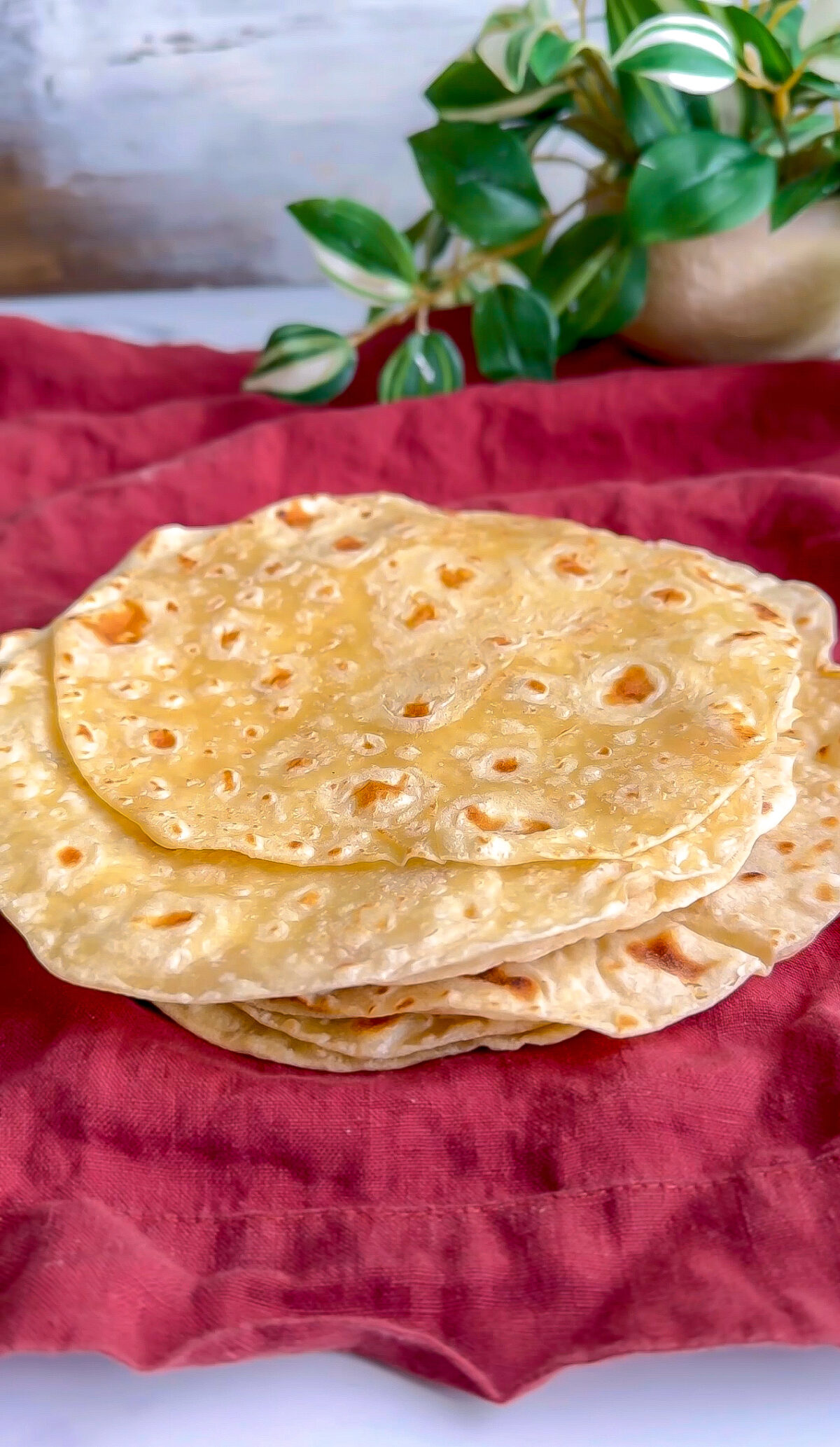 Tortillas de Harina