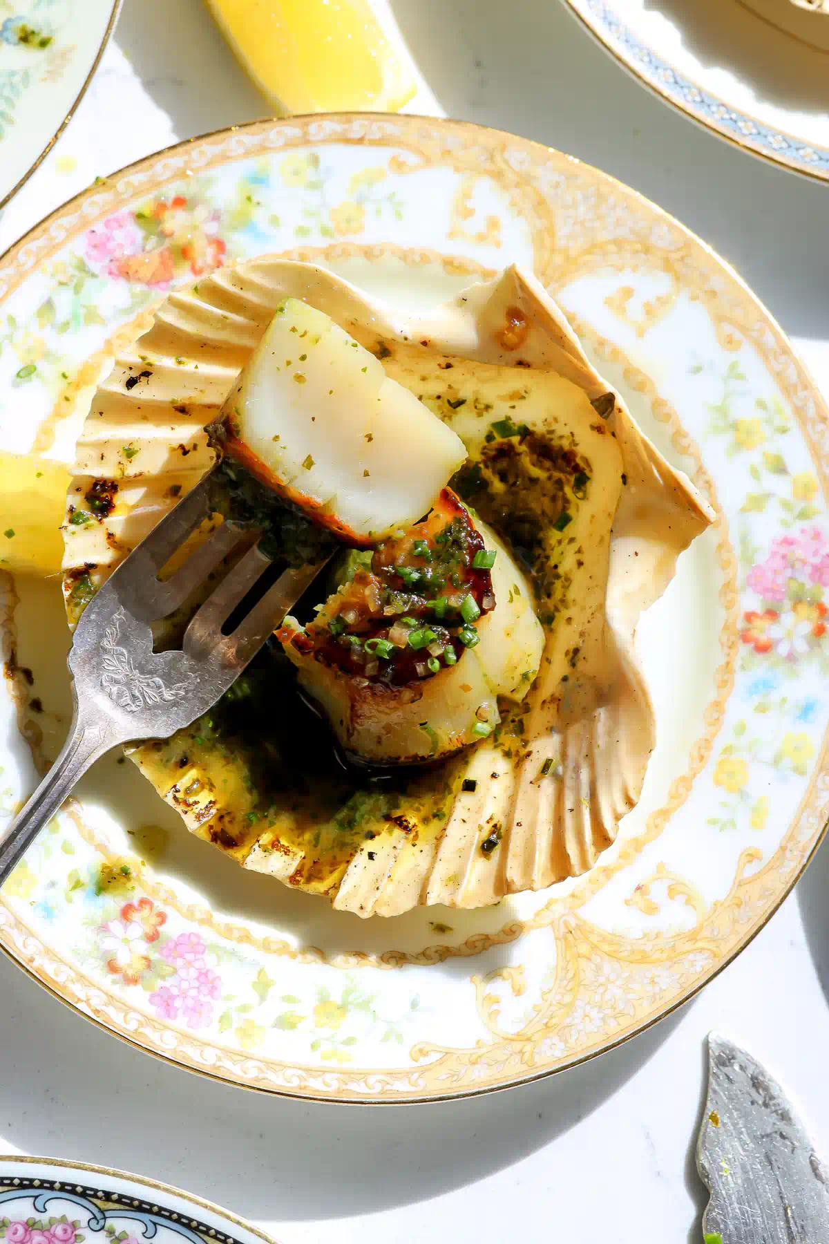 Golden brown seared scallops in a shell with escargot butter broiled on top. The scallop is sliced in half showing the buttery soft insides.