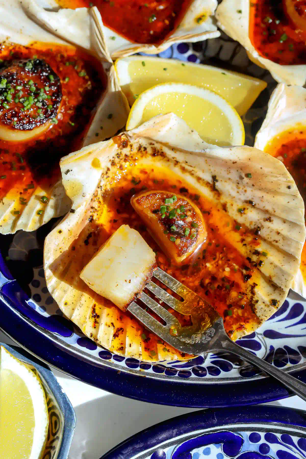Fork pulling a seared salsa macha butter scallop out of an oven-safe shell pooled with chili butter and chives.