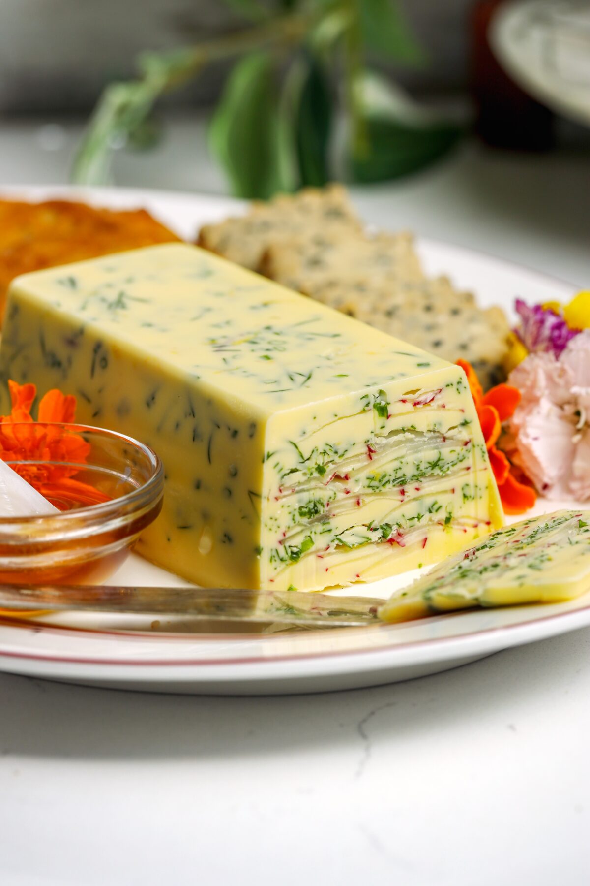 Butter that has been layered with radish and herbs making it a terrine and then put back in the fridge till cold. This is on a plate with different things that go with it like crackers and toast.