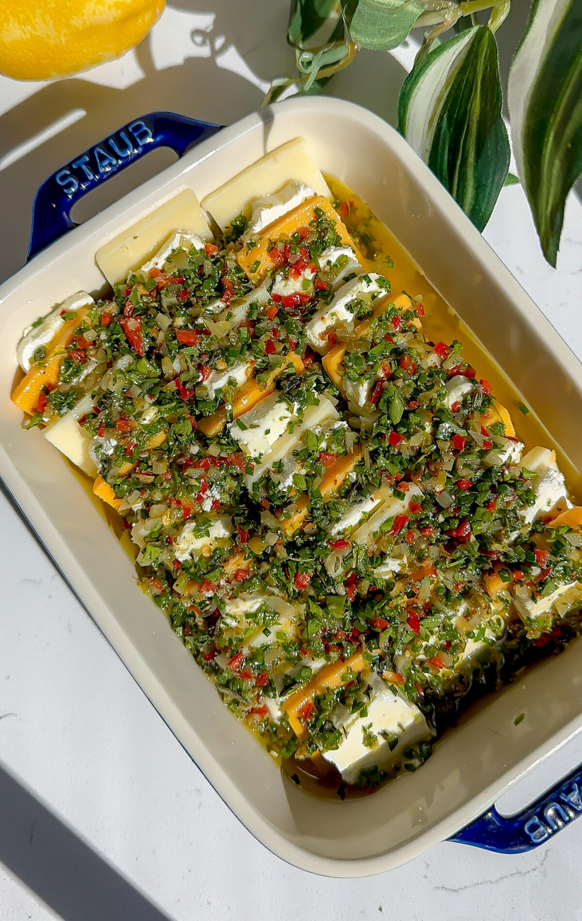 Marinated cheese with an herb oil spread top, this is an easy appetizer because it's fresh out of the fridge and cold.