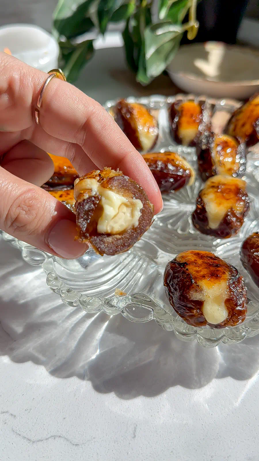 A white plate filled with Medjool dates stuffed with whipped brie, cashews, and finished with a torched sugar topping.
