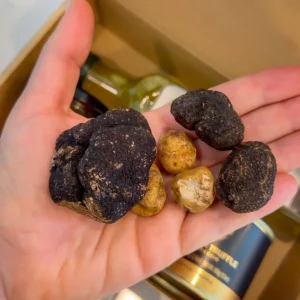 black and white truffles in a hand.