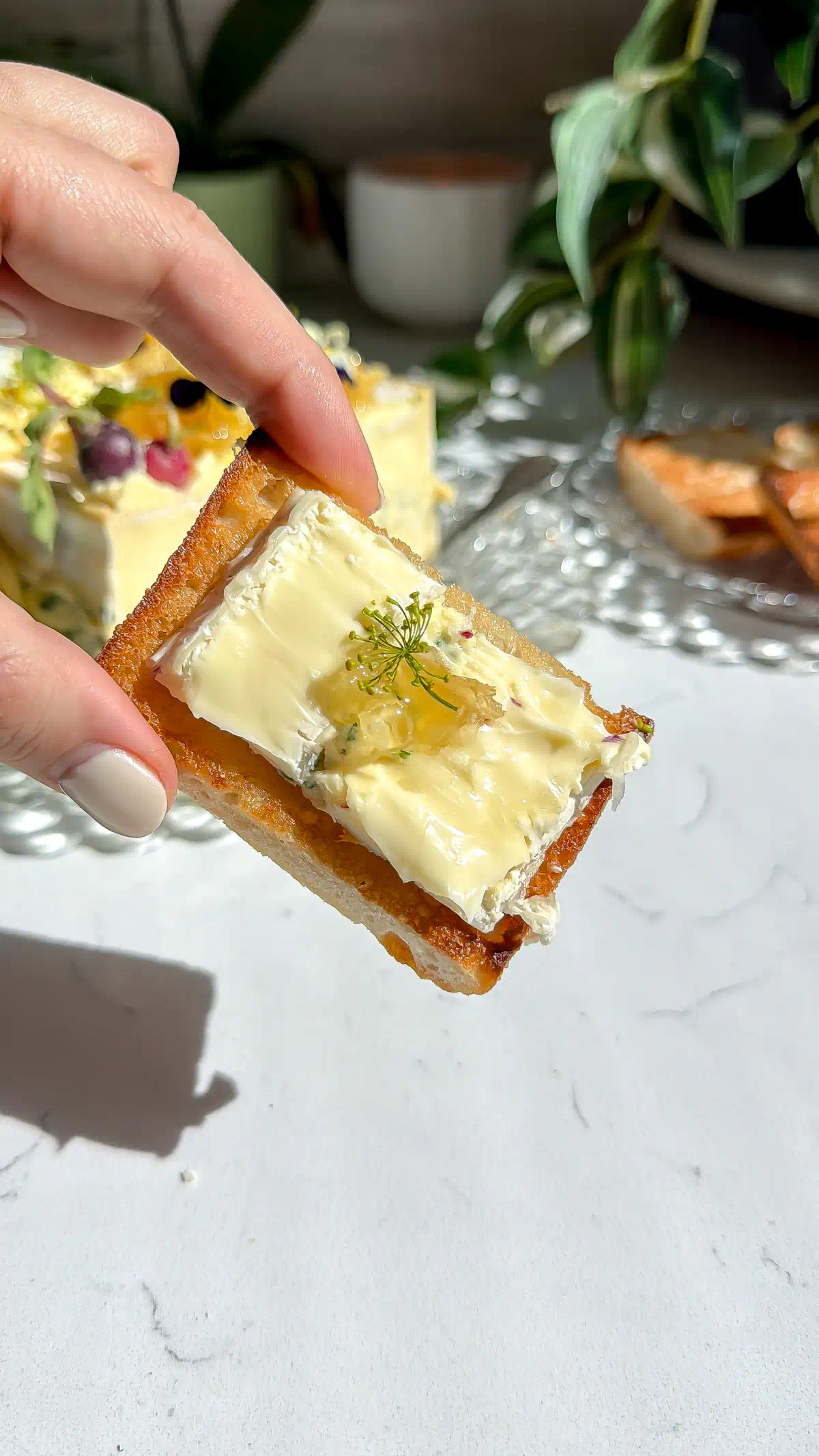 A brie cake with whipped radish brie butter on a slice of toast showing how to eat it. The brie cake and toasted bread slices are out of focus in the background.