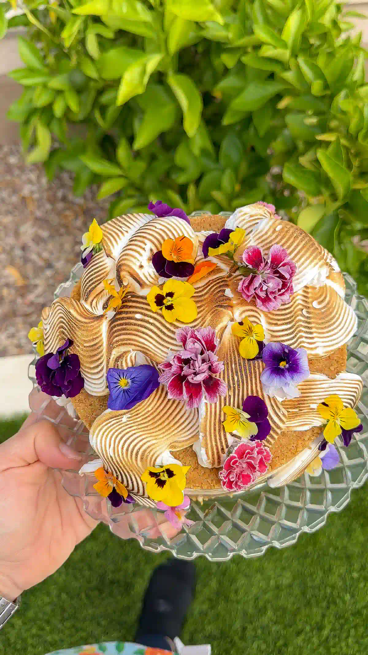 Overhead view of a s'mores ice cream cake on a glass stand covered in torched meringue waves and edible flowers.