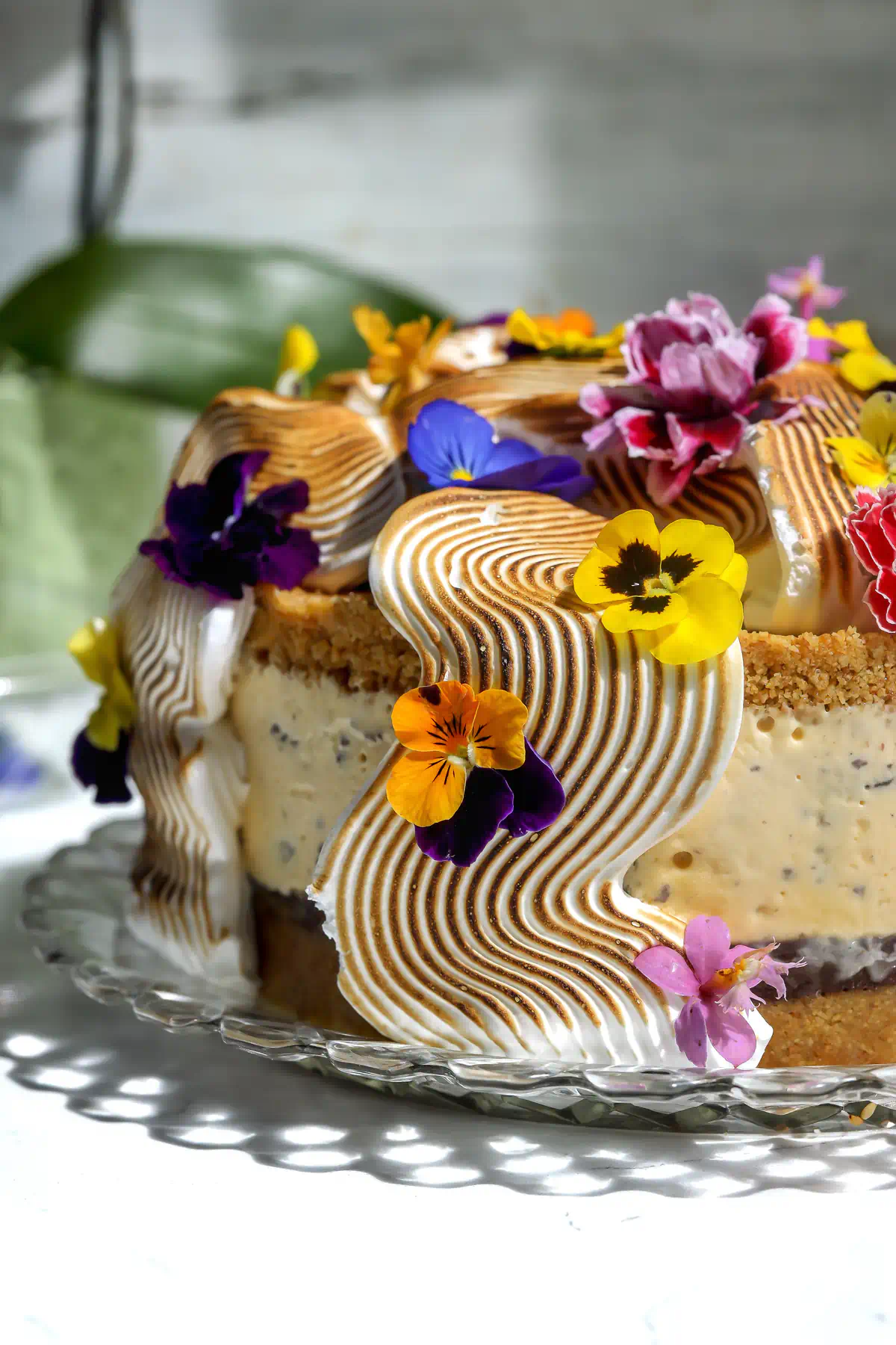 Side view of a frozen s'mores ice cream cake showing the graham crust top and bottom, vanilla custard ice cream, and toasted meringue wrapped around it.