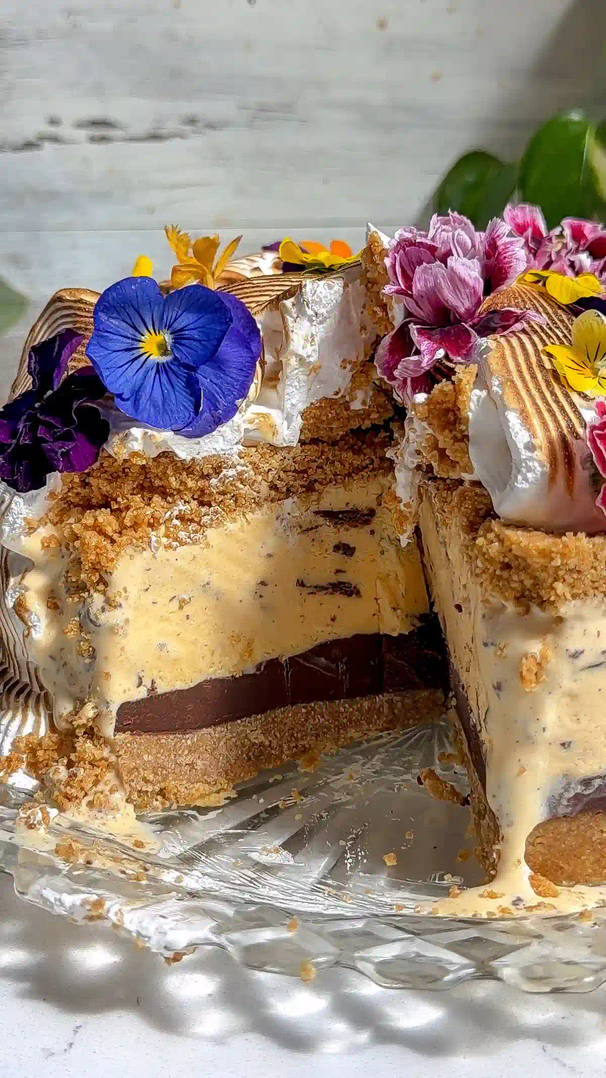 Cross-section of a s'mores ice cream cake with a slice cut out, showing graham crust, chocolate ganache, vanilla custard ice cream, and torched meringue layers.