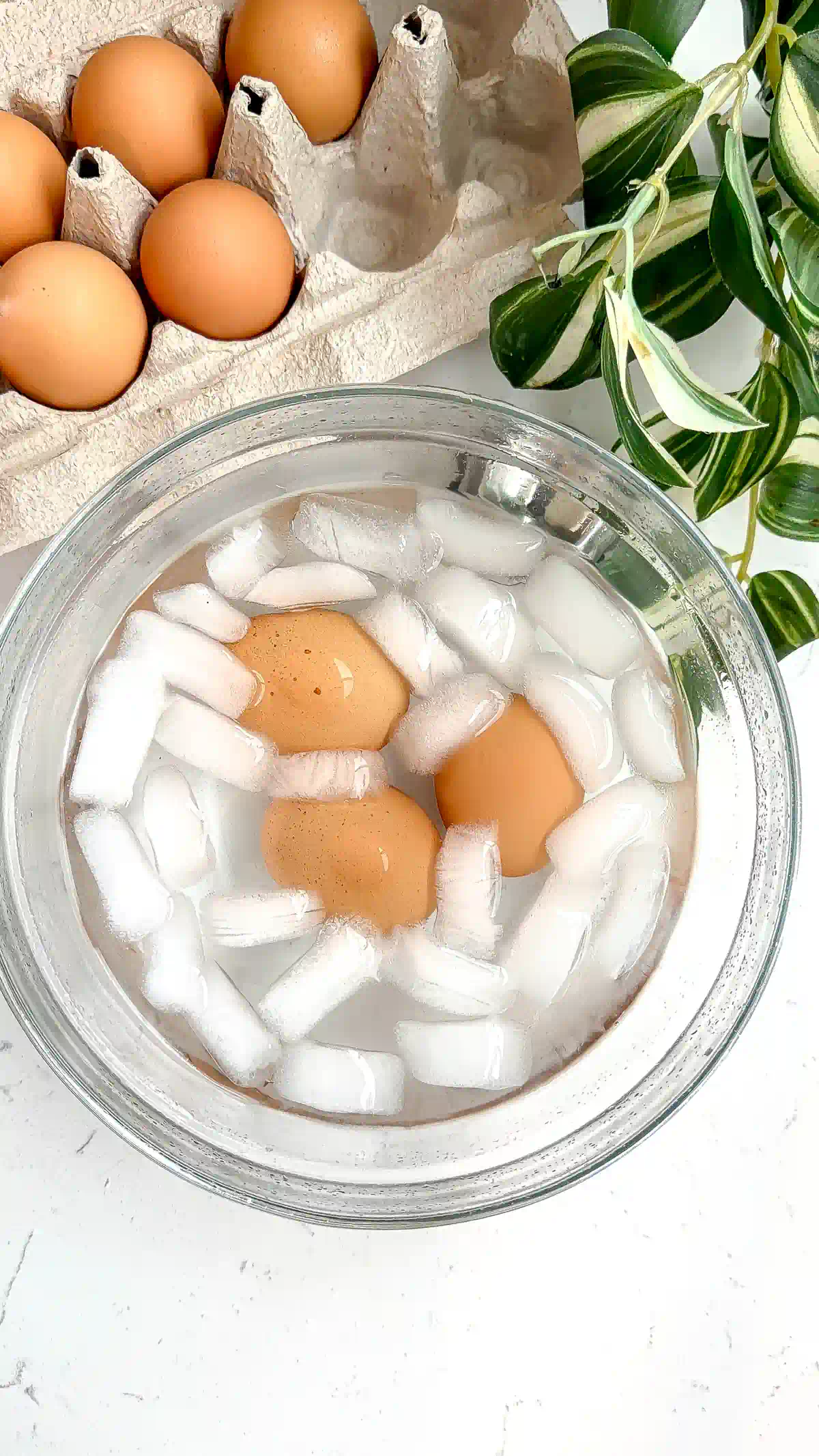 Brown eggs cooling in a bowl of ice water beside an egg carton