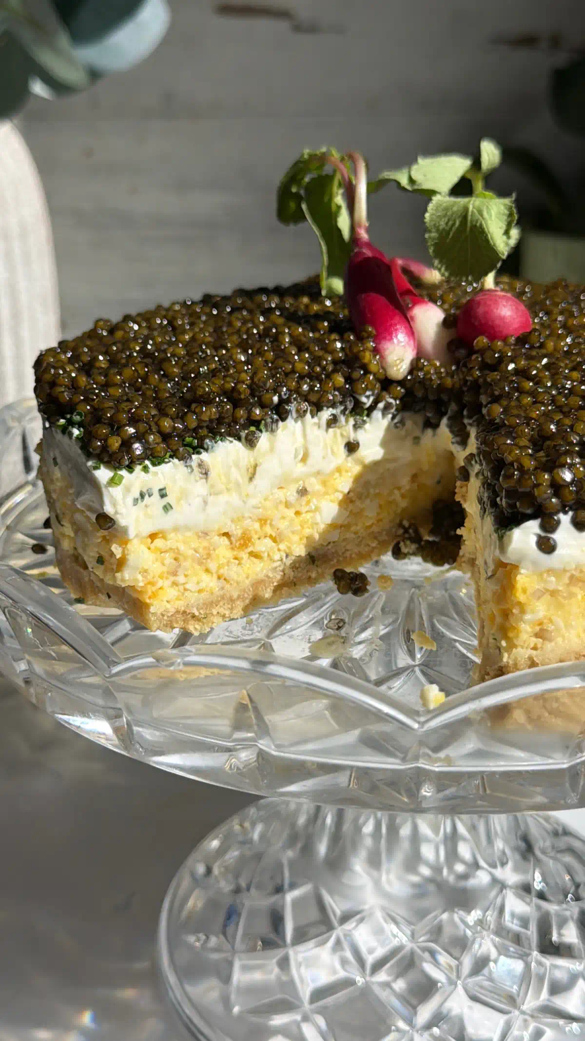 Caviar pie with a slice removed, showing the ritz cracker crust under the egg mousse and cr&egrave;me fra&icirc;che.
